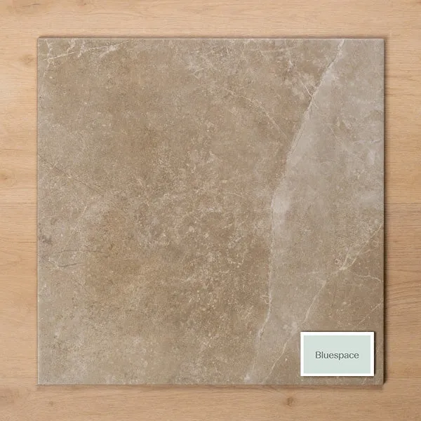 Avalon Greige External P5 Porcelain Tile 450x450mm