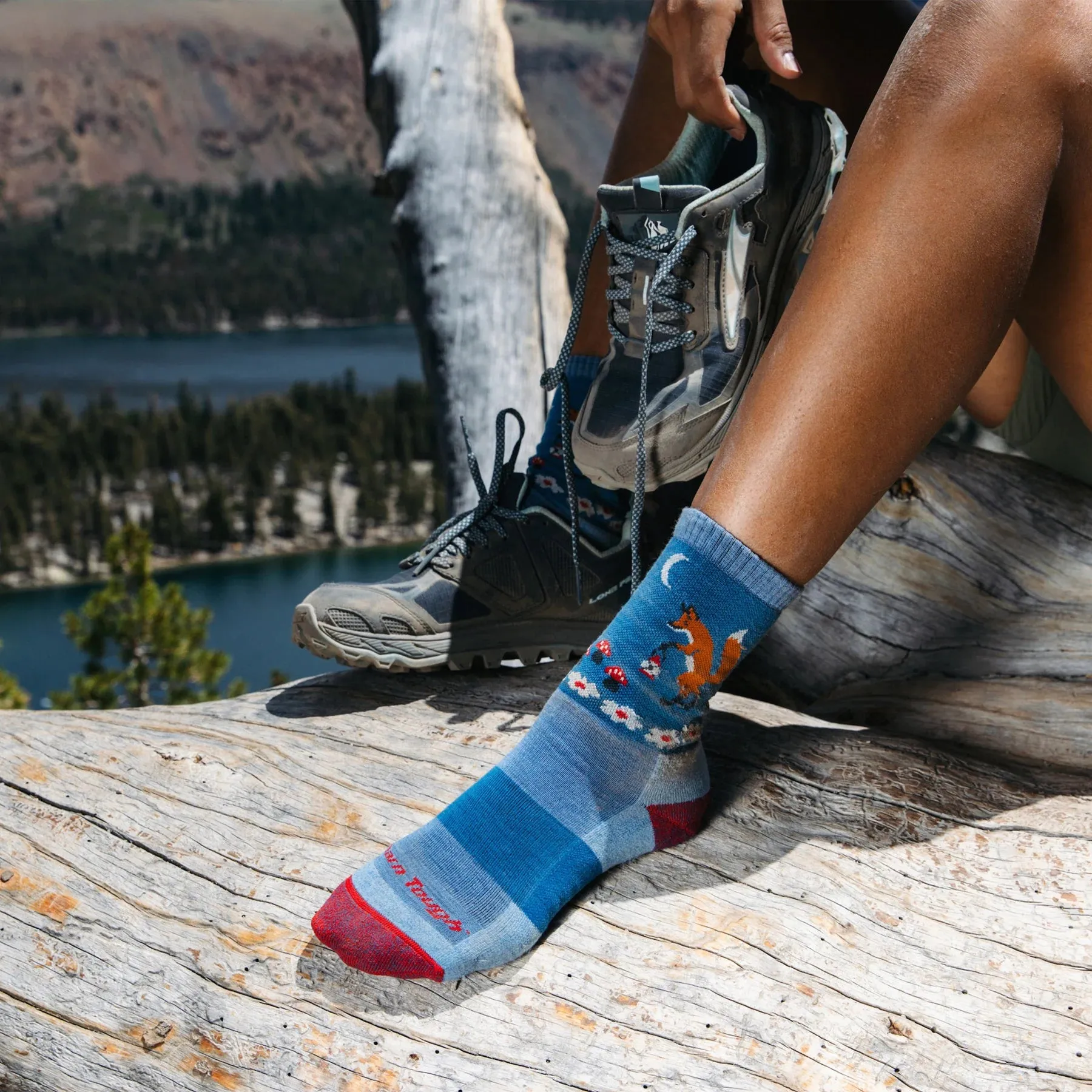 Darn Tough Women's Critter Club Micro Crew Lightweight with Cushions Socks