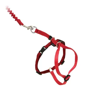 Easy Walk™  Cat Harness