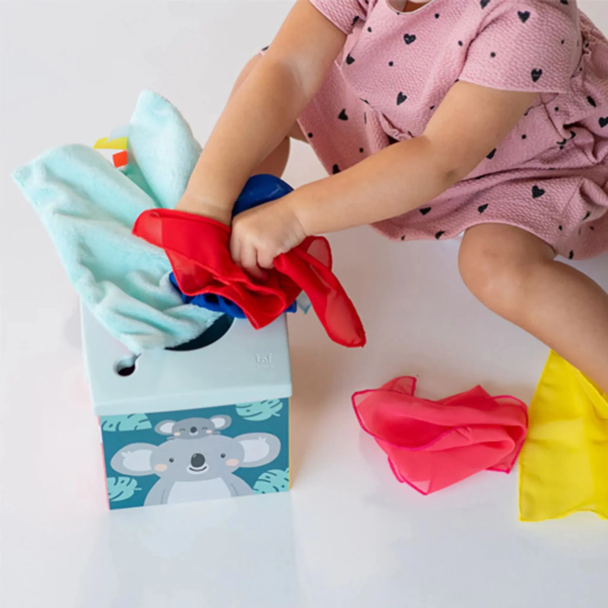 Kimmy Koala Wonder Tissue Box