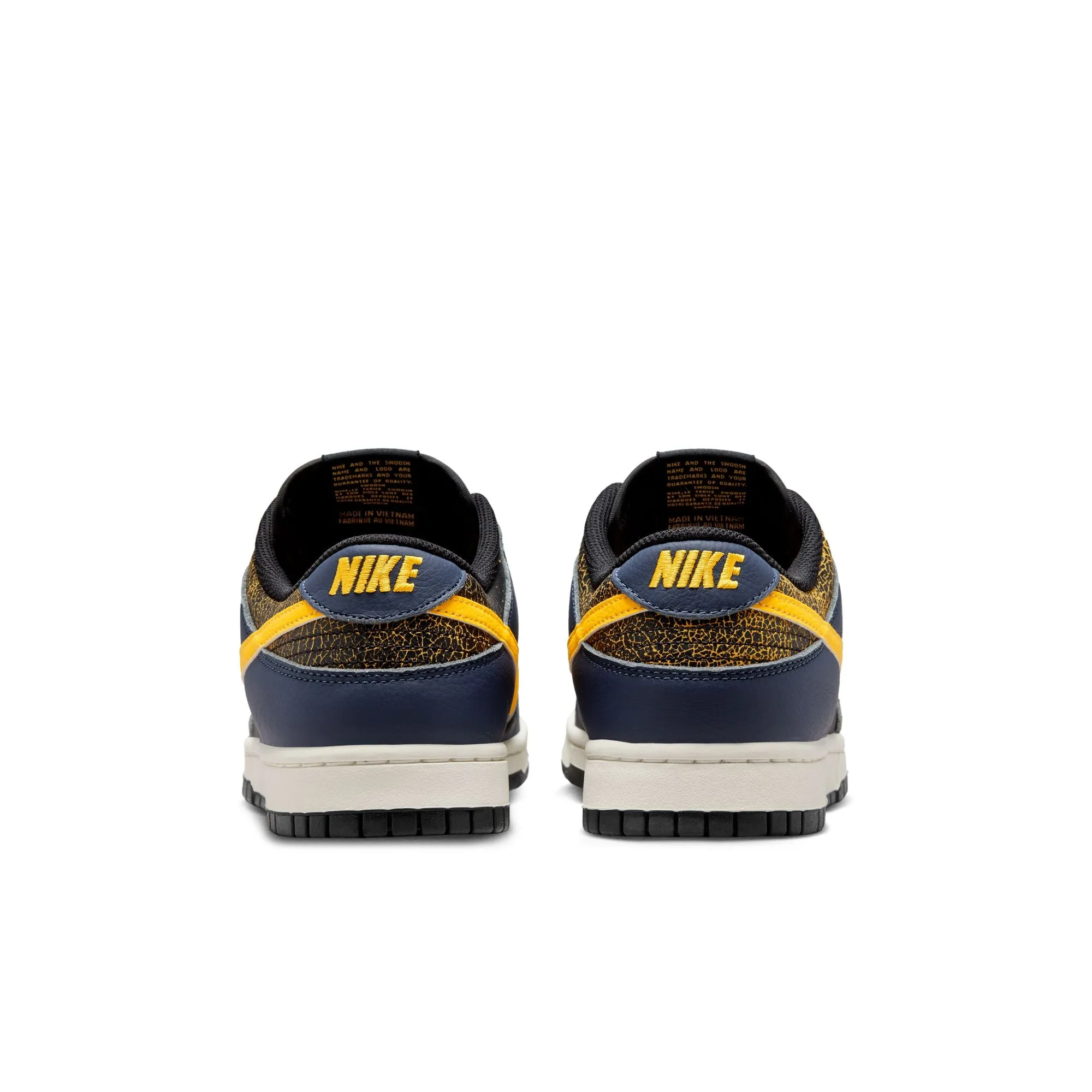 Nike Dunk Low Retro Michigan
