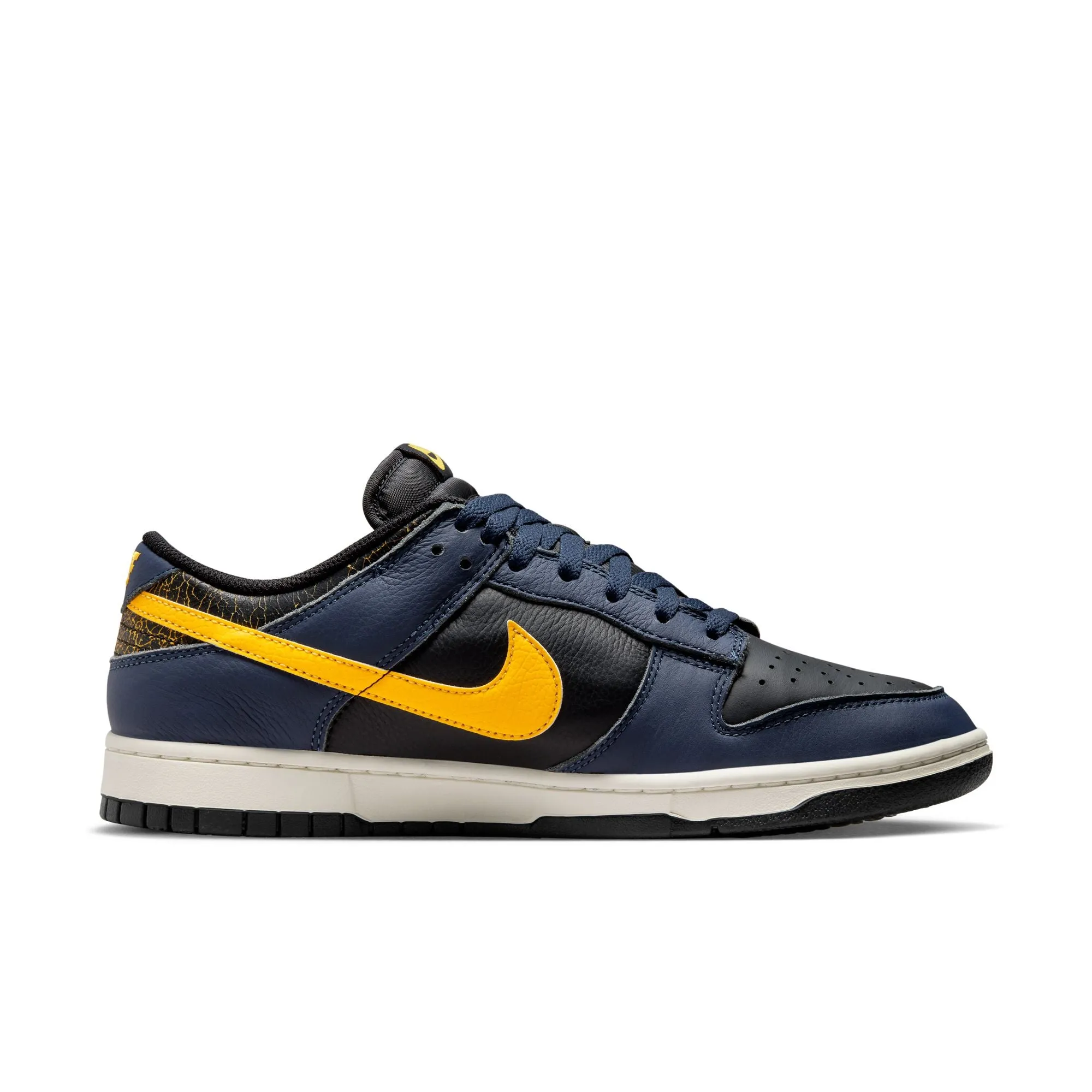 Nike Dunk Low Retro Michigan