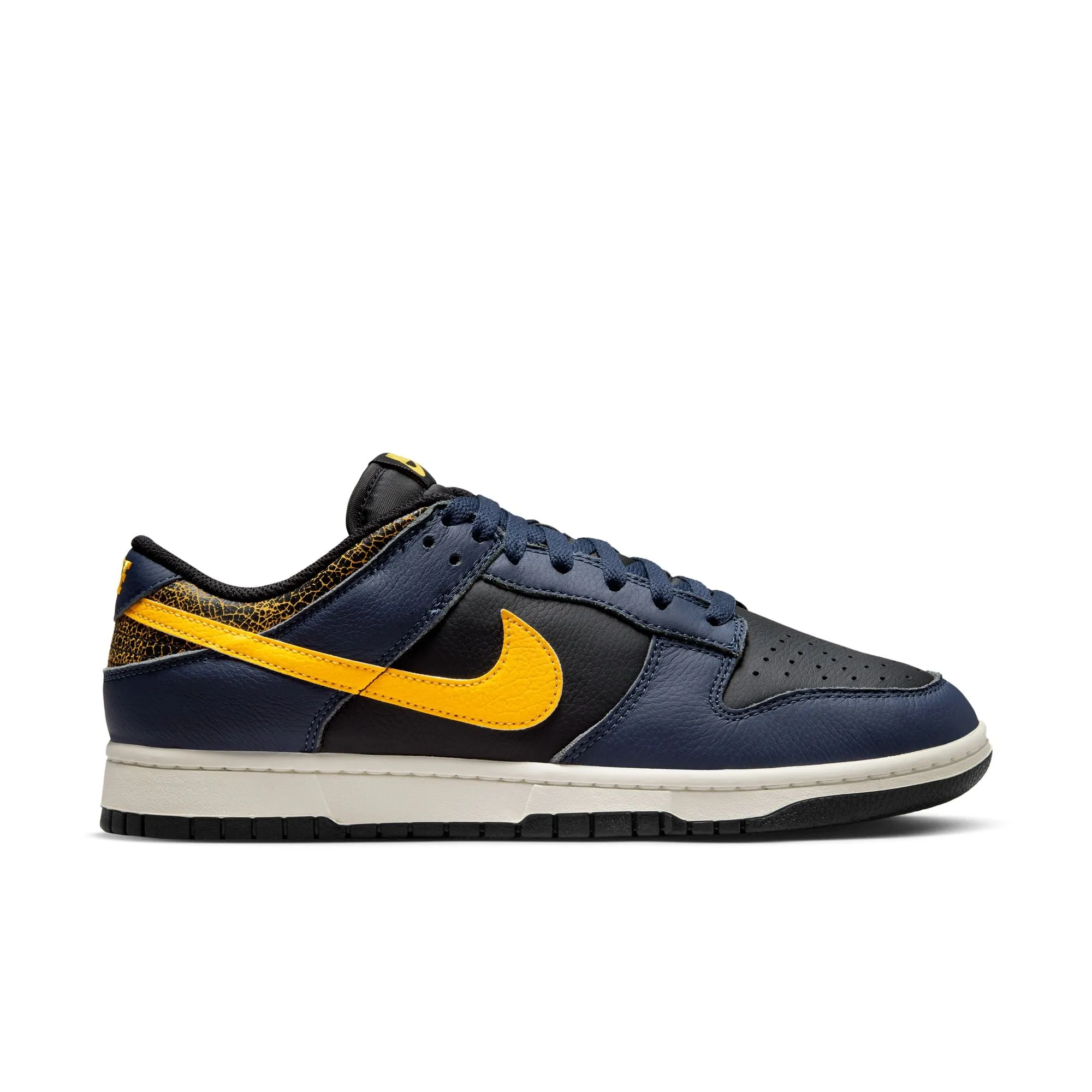 Nike Dunk Low Retro Michigan