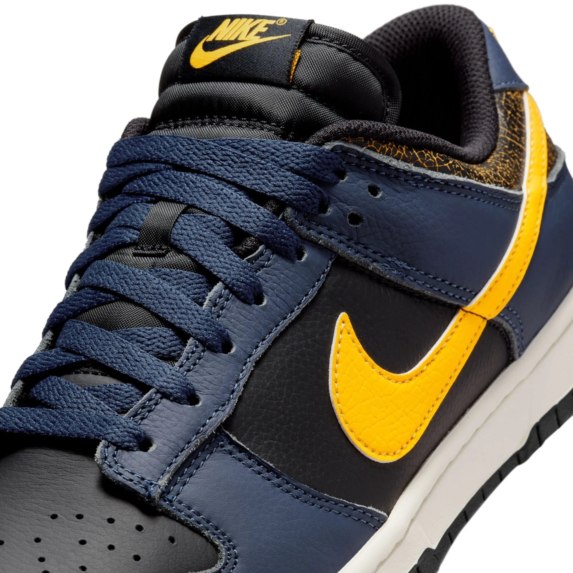 Nike Dunk Low Retro Michigan