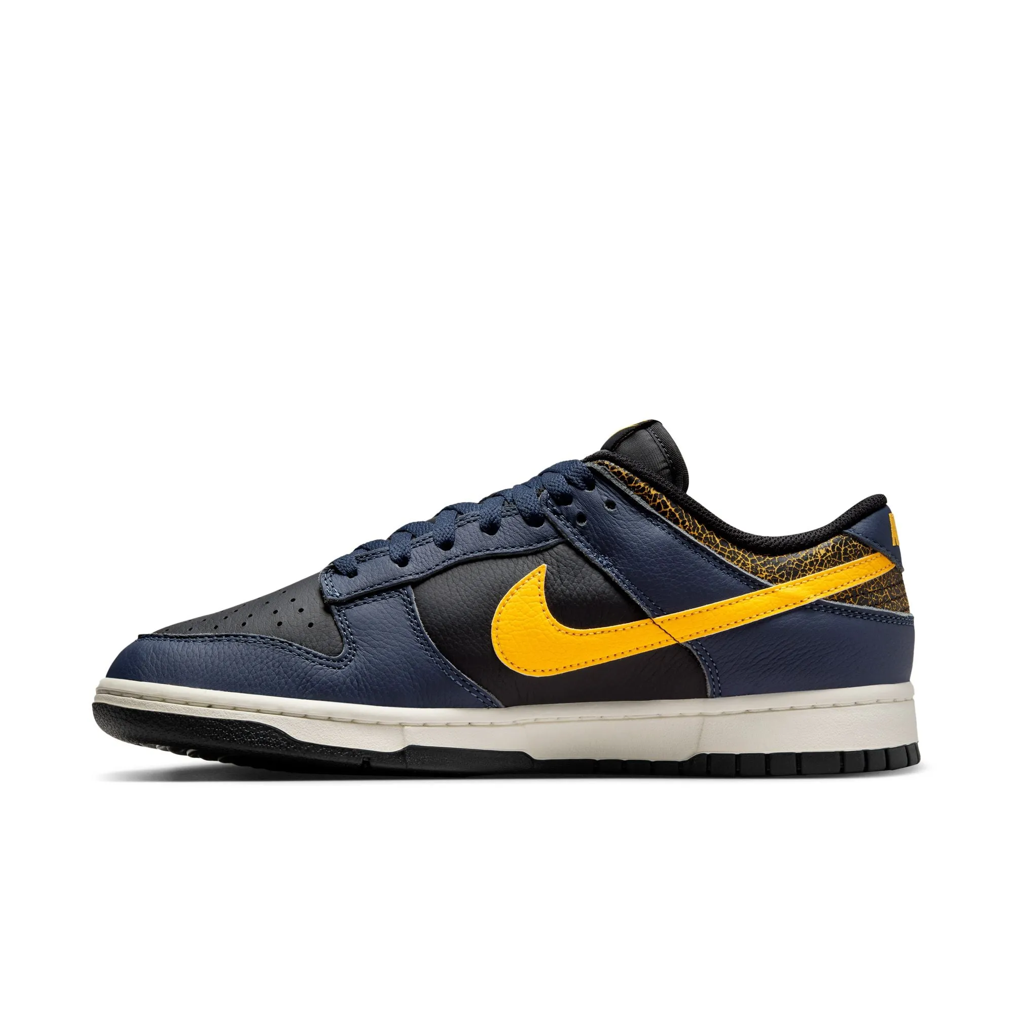 Nike Dunk Low Retro Michigan