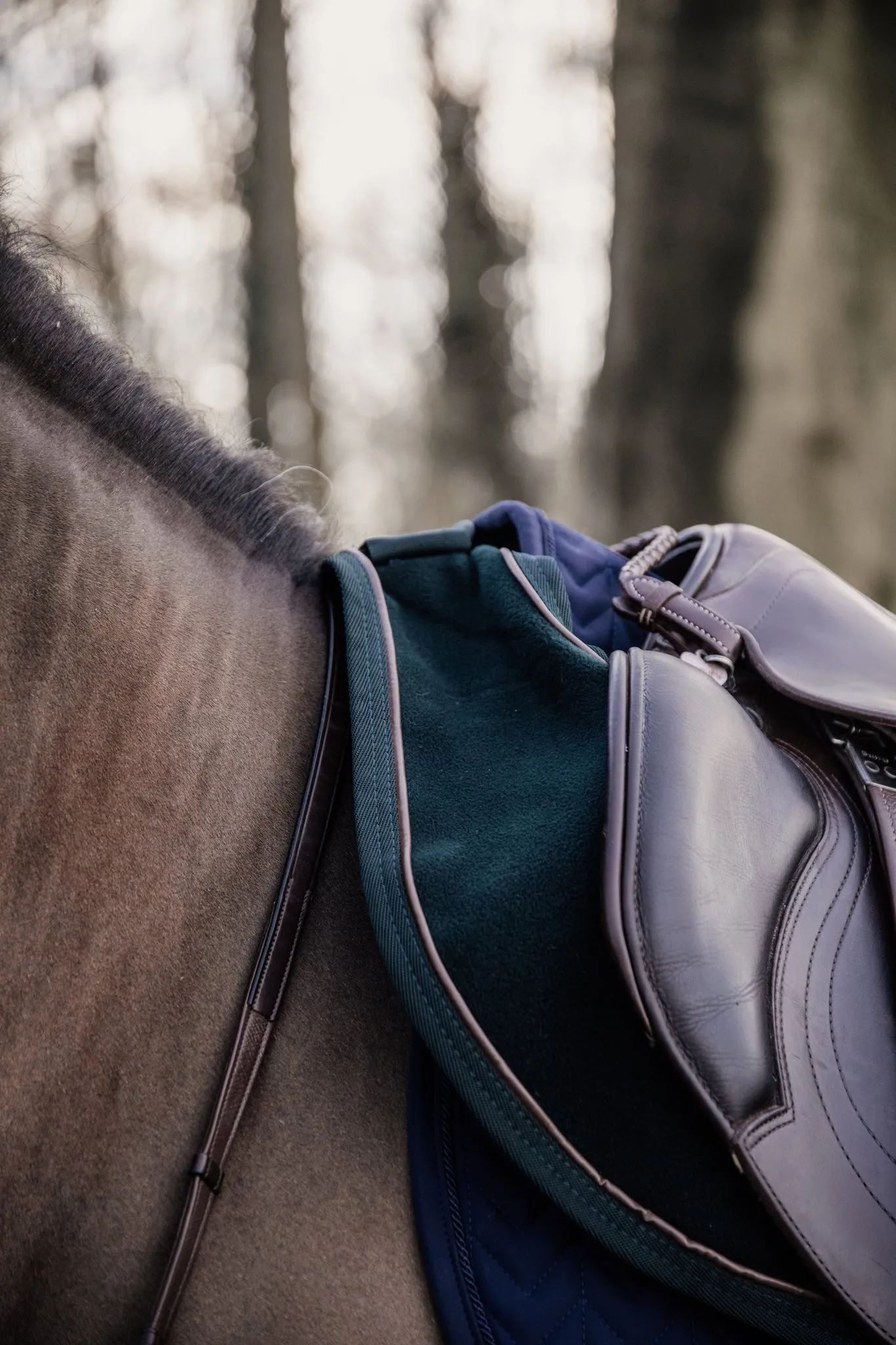 Riding Rug Heavy Fleece