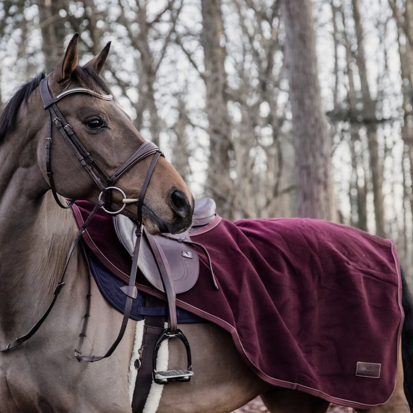 Riding Rug Heavy Fleece