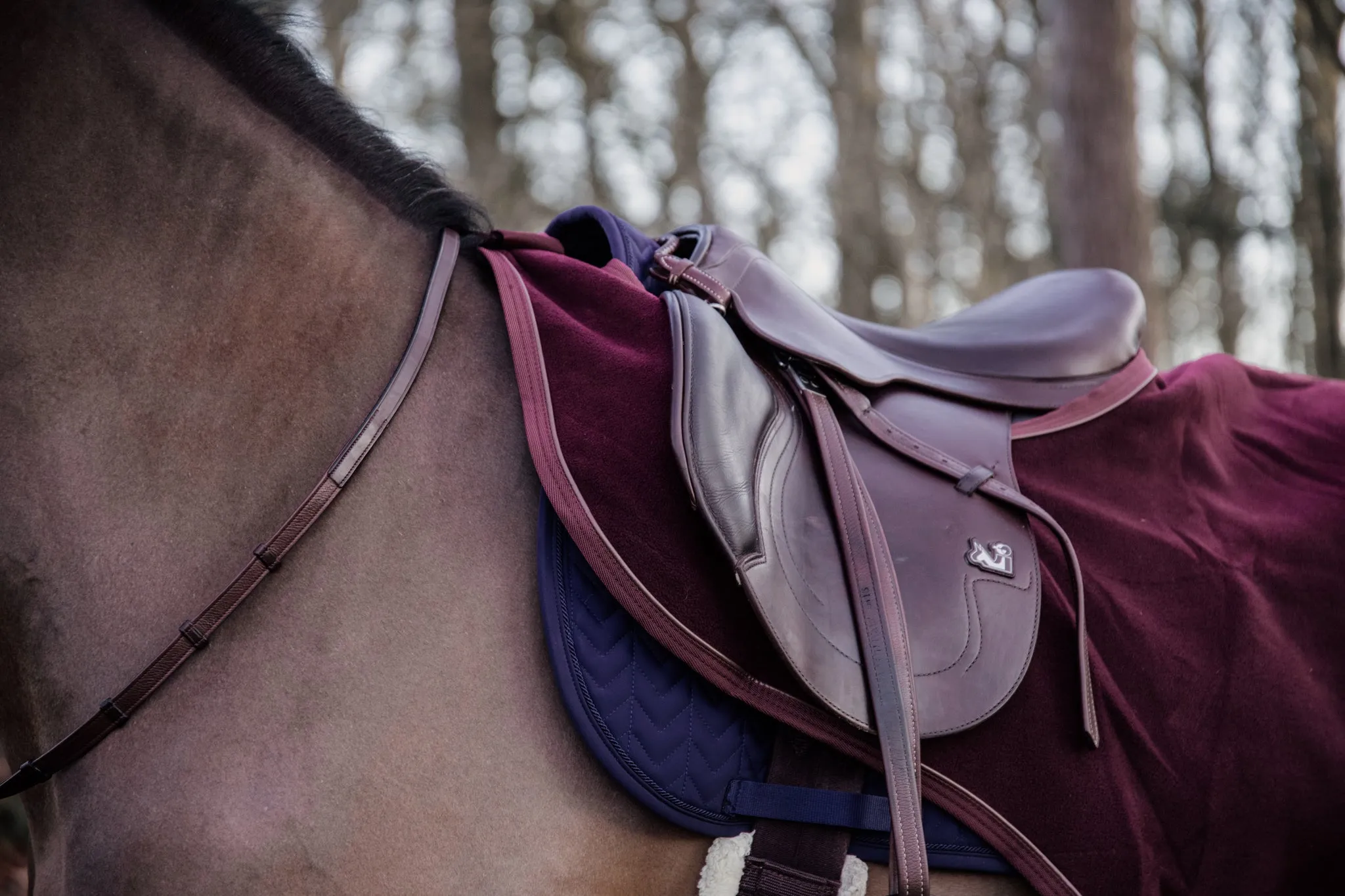 Riding Rug Heavy Fleece
