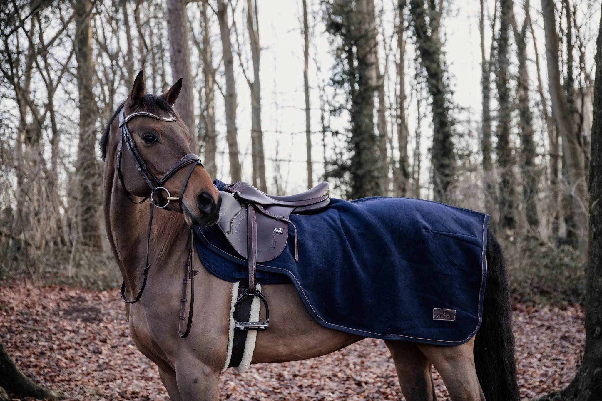 Riding Rug Heavy Fleece