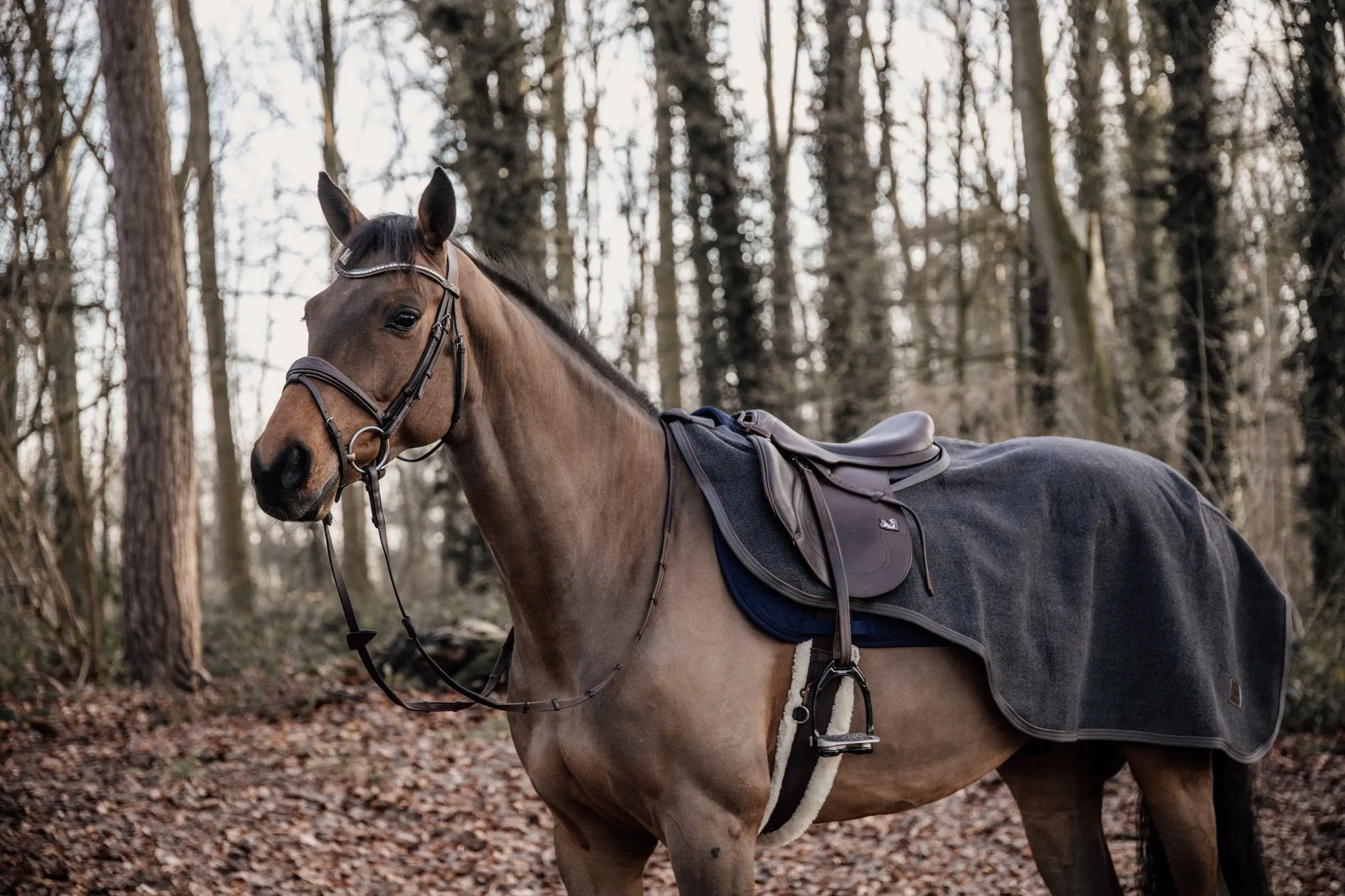 Riding Rug Heavy Fleece