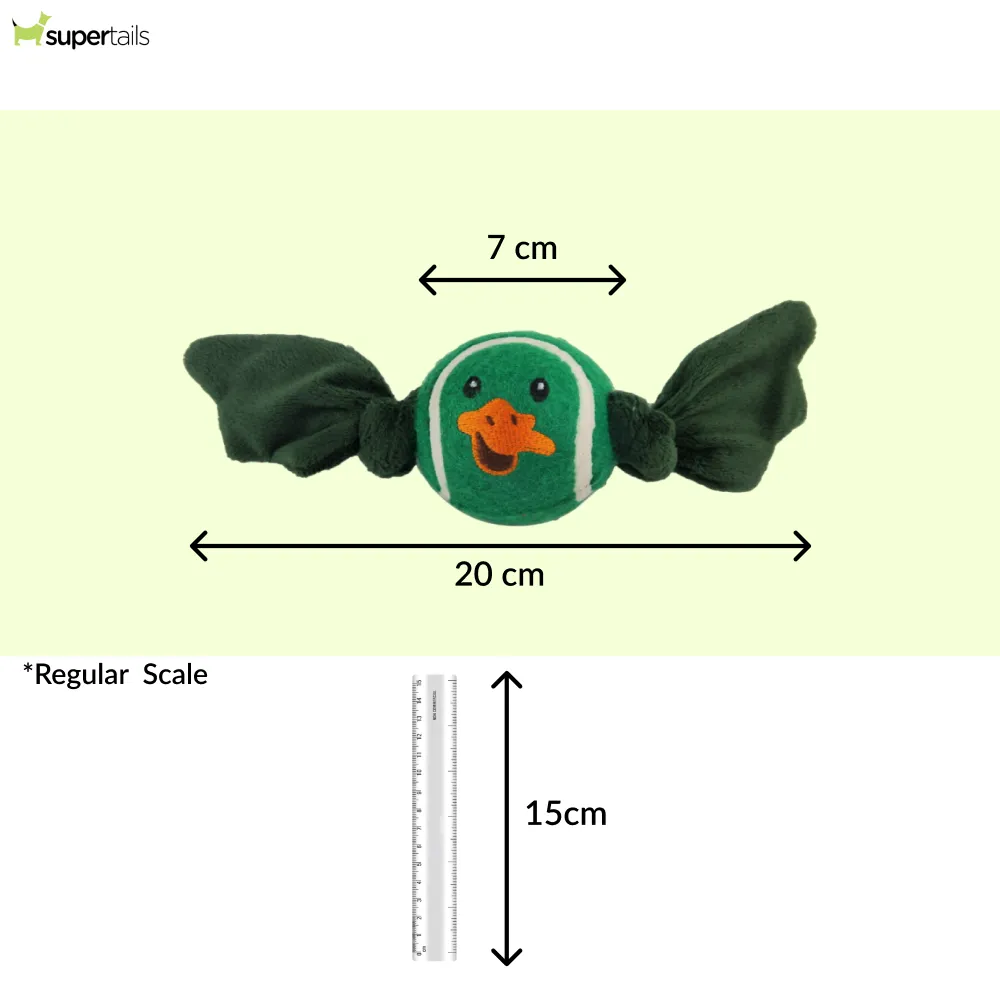 Talking Dog Club Duck Ball with Wings Toy for Dogs (Green)