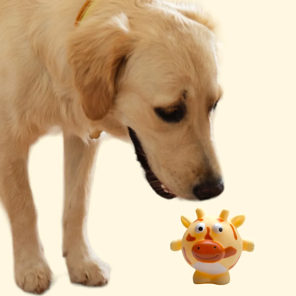 Talking Dog Club Giraffe Bouncy Ball Toy for Dogs (Orange)
