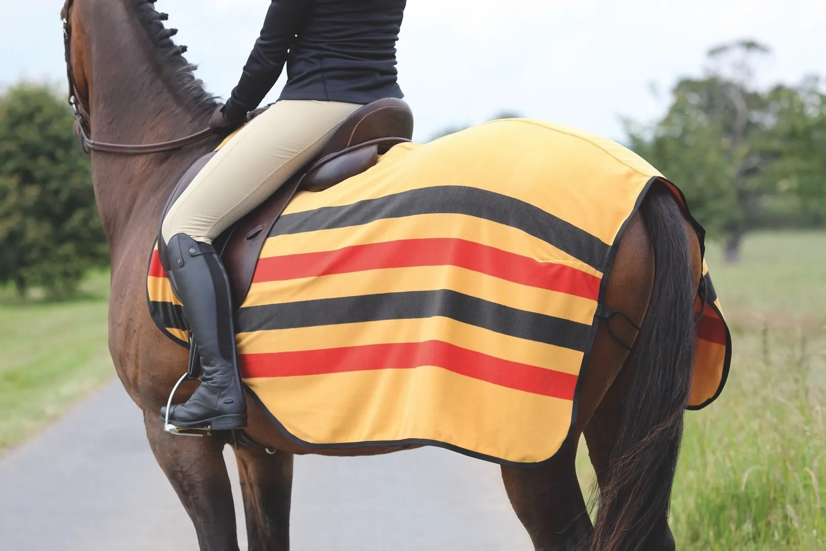 Tempest Newmarket Exercise Sheet